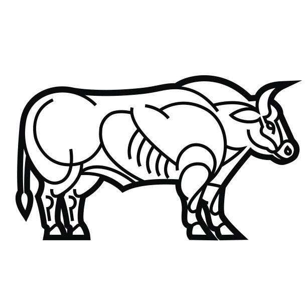 比利时蓝牛图片下载