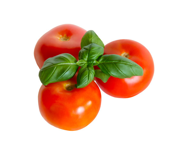 番茄和罗勒分离图片下载