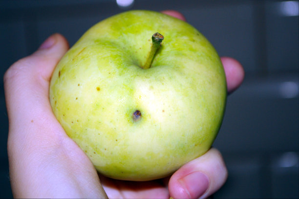 手拿苹果的照片图片下载