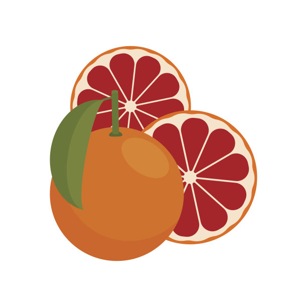 图标葡萄柚。矢量插图。图片下载