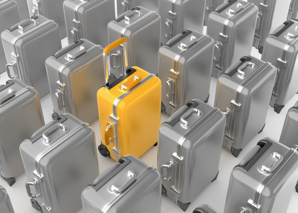 选定的行李图片下载