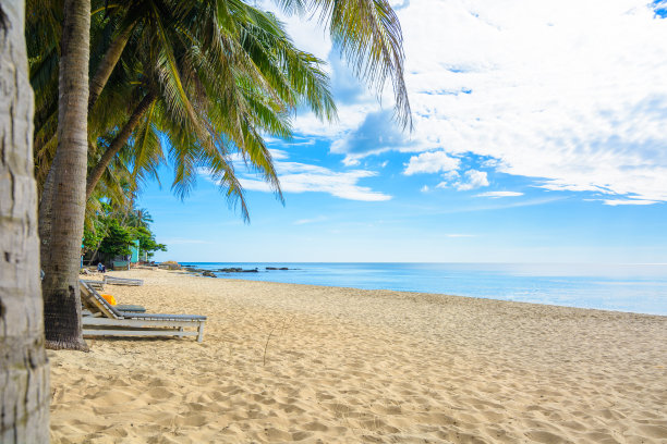 热带海滩素材图片