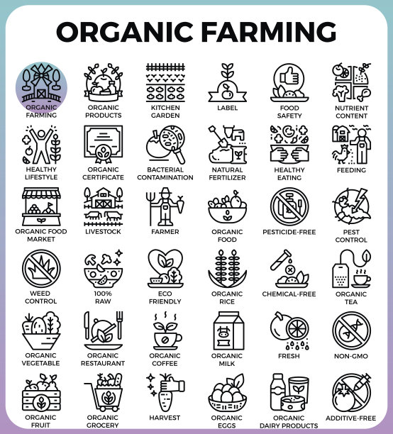 有机农业概念详细线条图标图片下载