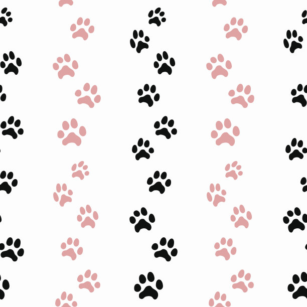 带有猫迹的图案图片下载