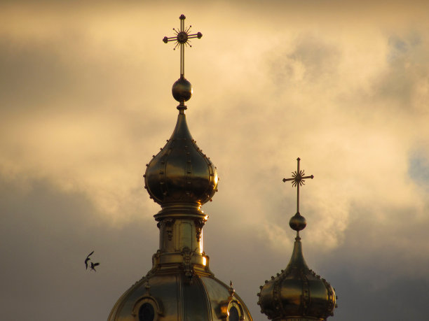 鸟和教堂的两个圆顶图片下载