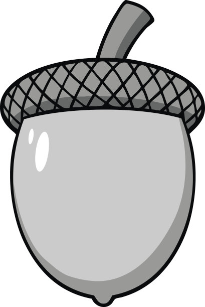 橡子插图图片下载