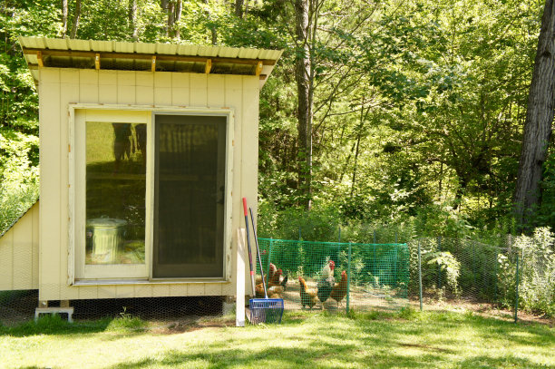 鸡笼图片下载