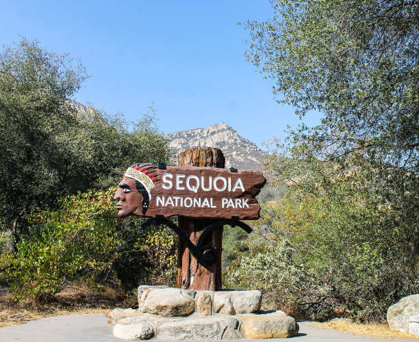 红杉国家公园图片下载
