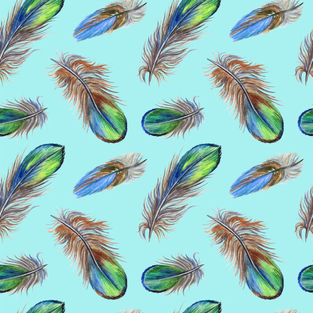无缝羽毛图案素材图片