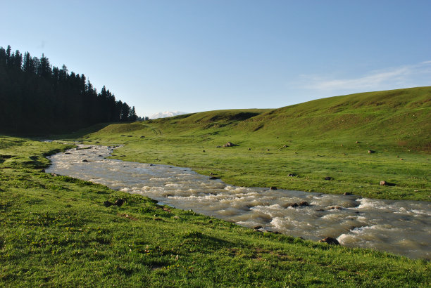 (鸟、河流、绿地)图片下载