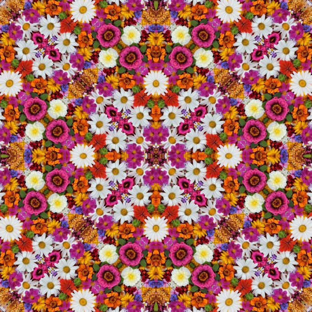 鲜花背景祝贺，无缝背景。图片下载