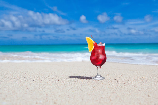 热带旅游度假图片素材ID：308357010