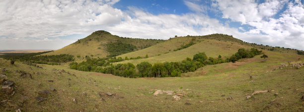 马赛马拉景观全景图片下载
