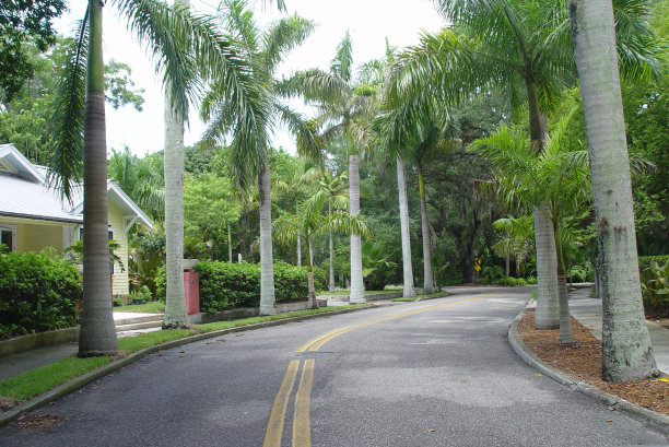 热带佛罗里达小路图片下载