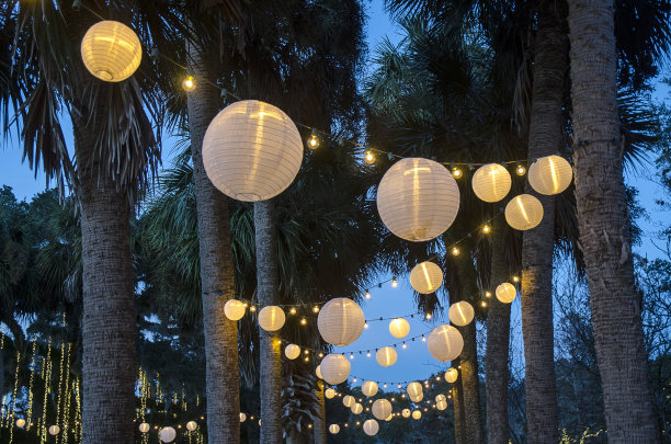 挂在棕榈树上的中国灯笼图片下载