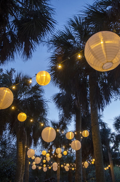 挂在棕榈树上的中国灯笼图片下载