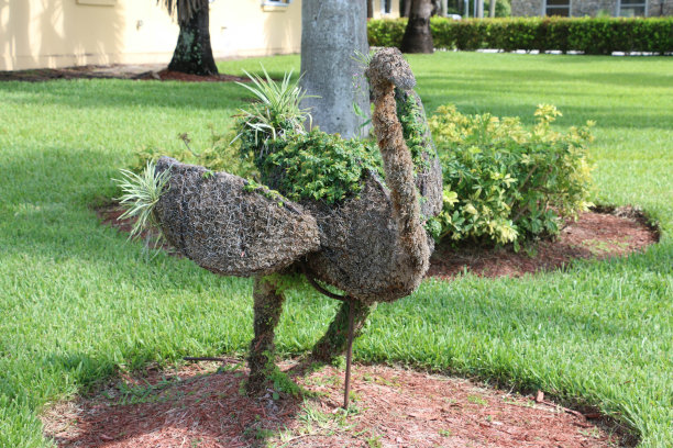 修剪成形的鸟图片下载