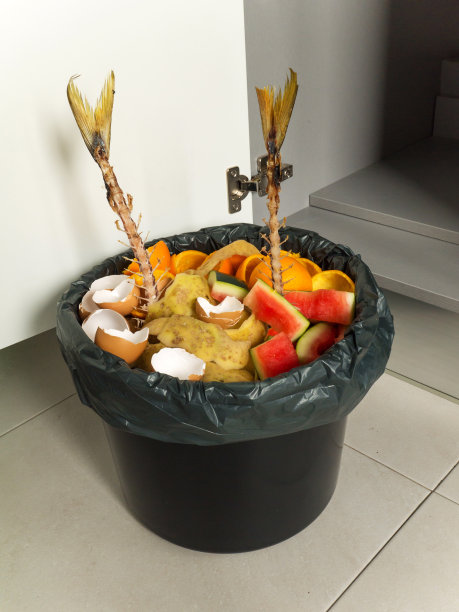 有机可生物降解垃圾装在黑桶里图片下载