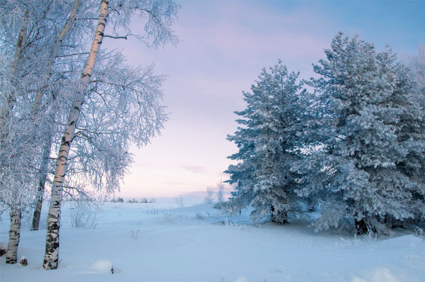 冬季霜冻日落图片下载