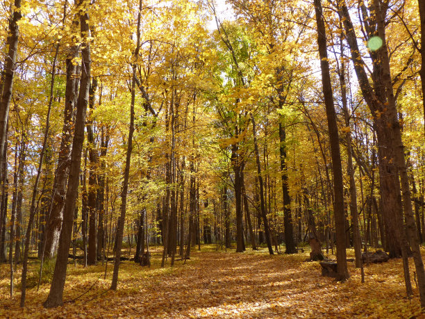 秋天的颜色图片下载