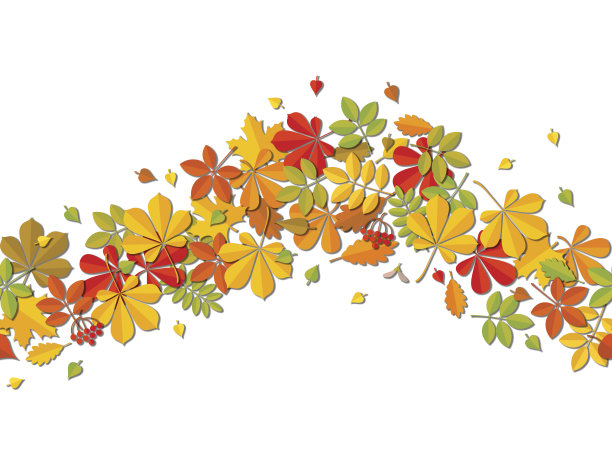 无缝的边界秋叶孤立在白色的背景。图片下载