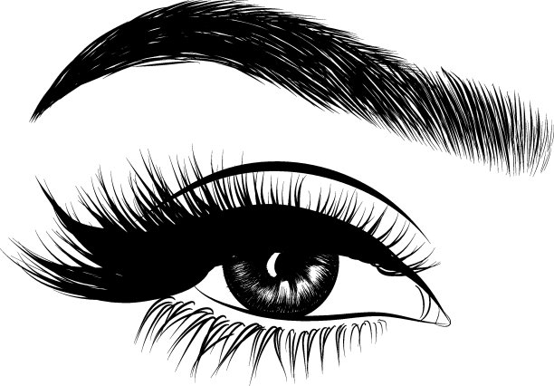女人的眼睛和完美的眉毛化妆素材图片