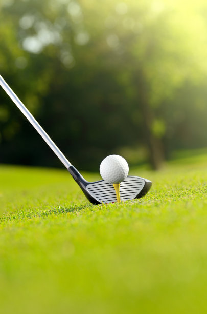 让我们高尔夫图片下载