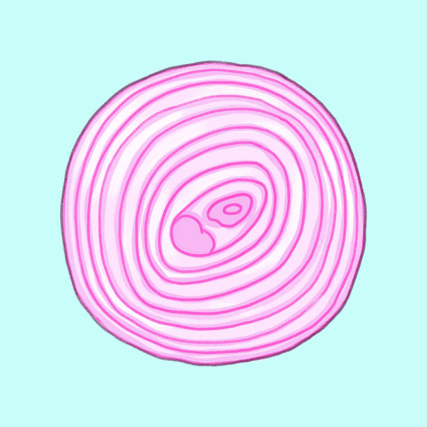 红洋葱图片下载