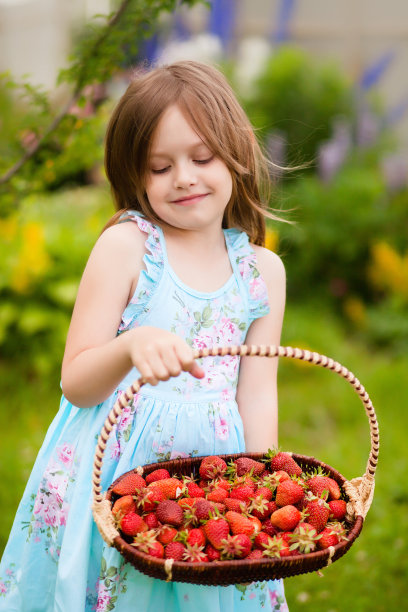 可爱的小女孩收获草莓。图片下载