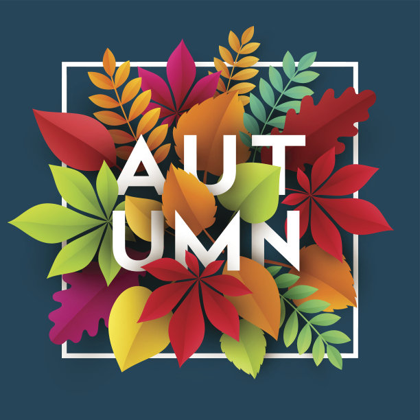 秋天的横幅背景是落叶纸。矢量图素材图片