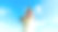 狗嘴特写人像。图片下载