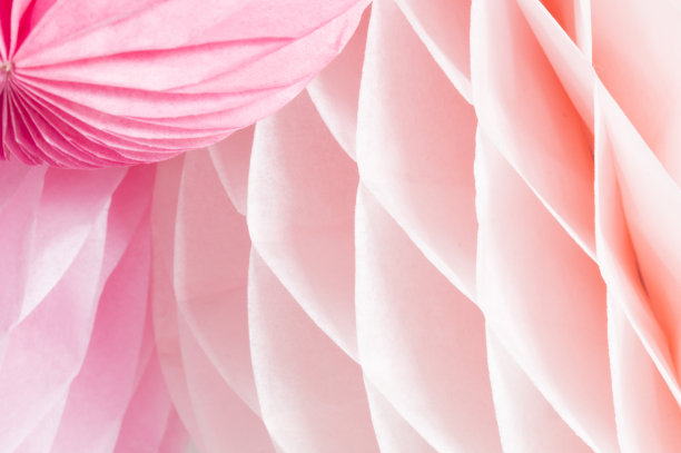 粉色纸蜂巢的特写图片下载