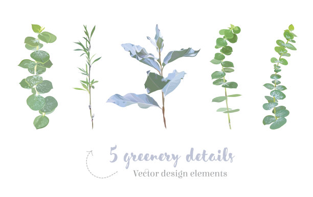 混合草药和植物载体大收集素材图片