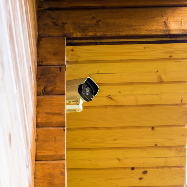 房子前面有隐藏的监控摄像头。图片下载