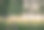 树木图片素材ID：308424612