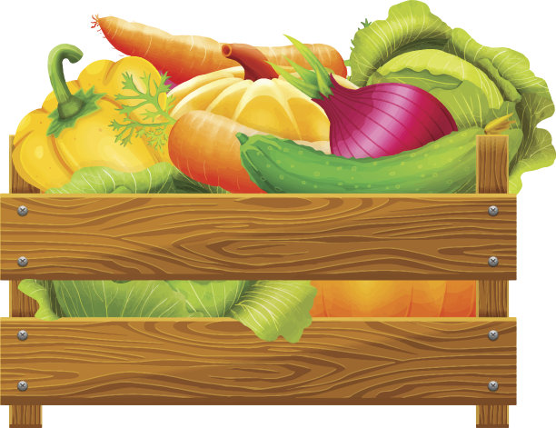 矢量插图木箱与蔬菜图片下载