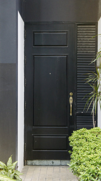 前门，黑色的前门图片下载