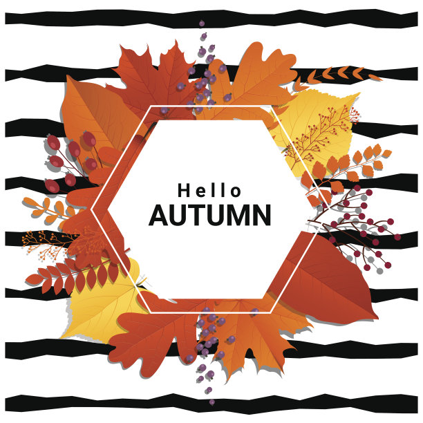 你好秋天与多彩的树叶和水果背景，矢量，插图图片下载