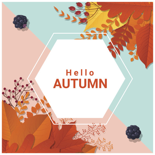 你好秋天与多彩的树叶和水果背景，矢量，插图图片下载
