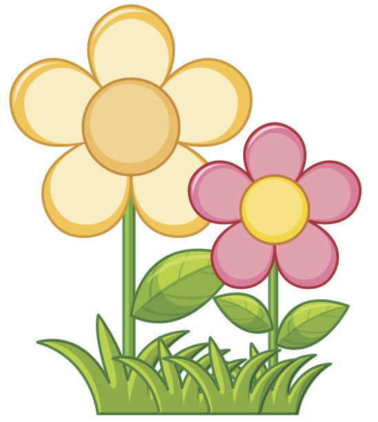 花园里五颜六色的花图片下载