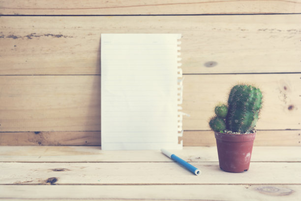 一个小仙人掌，笔和白纸放在木头上。专注于锅。图片下载