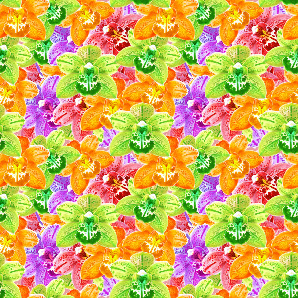 兰花,蝴蝶兰属。花型纹理无缝。花背景，照片拼贴图片下载