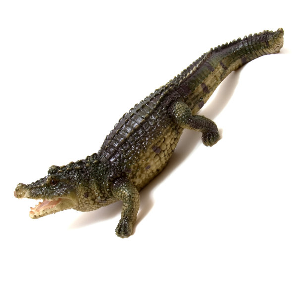陶瓷鳄鱼孤立在白色背景上图片下载