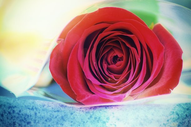 一朵红玫瑰和一些光在一块蓝色的石头上闪耀。图片下载