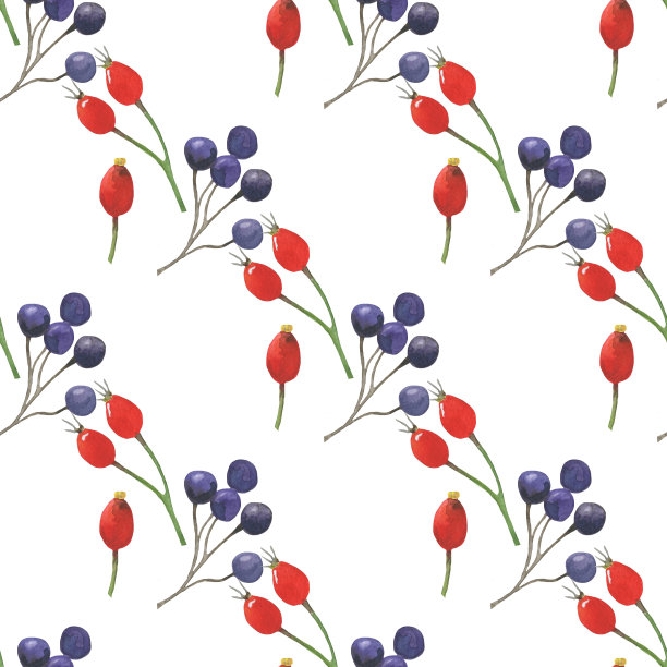 水彩野生浆果图案手绘插画图片下载