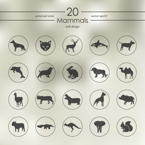 哺乳动物图标集图片下载