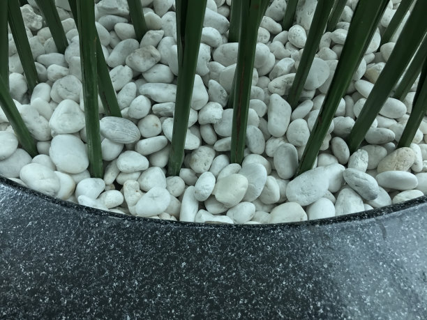 白色的鹅卵石图片下载