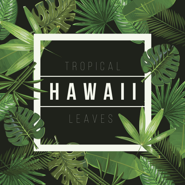 矢量热带树叶在黑色的背景。素材图片