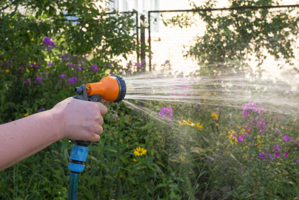 夏季花园浇水与可调淋浴图片下载