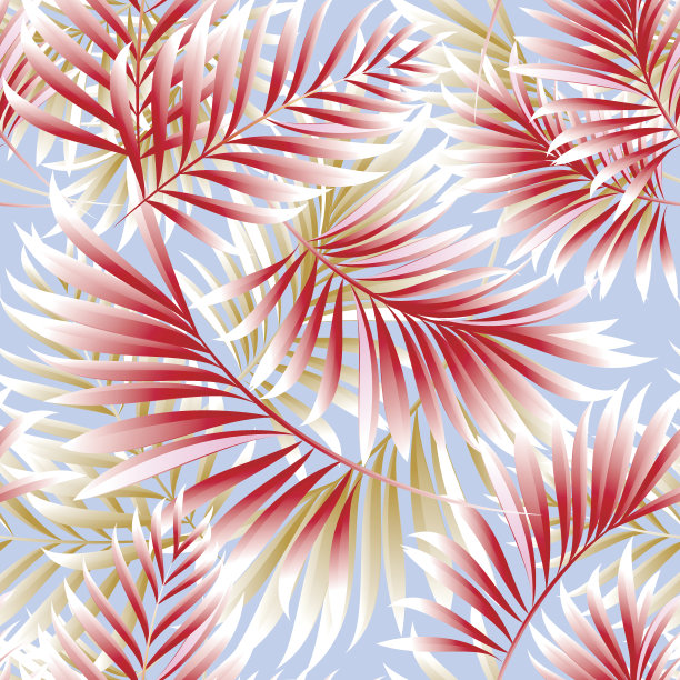 热带棕榈树的图案图片下载